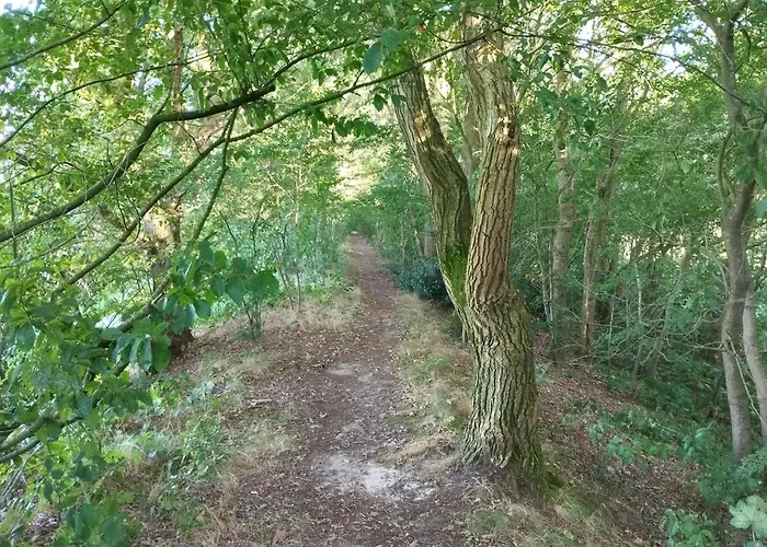 Appartement Gemuetliches Luetje Huske Mit Garten, 25666 Weener
